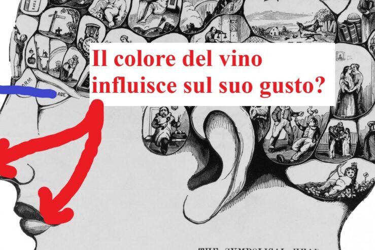il colore del vino influisce sul suo gusto?