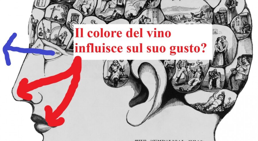 symbolic-human-head il colore del vino influisce sul suo gusto?