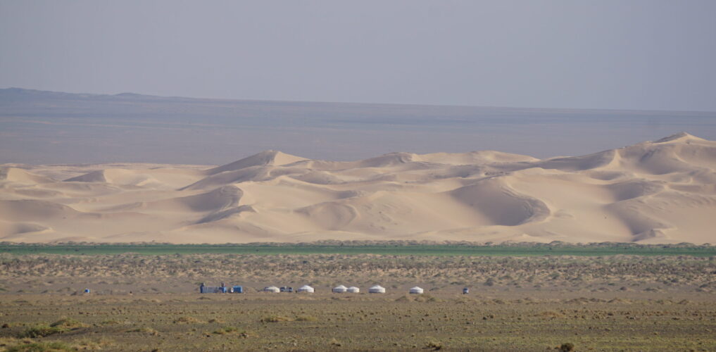 mongolia deserto di Gobi