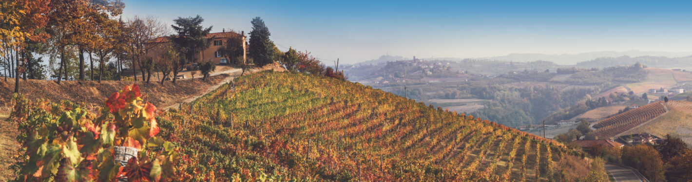 DIANO_MONCOLOMBETTO_PANORAMIC (1)