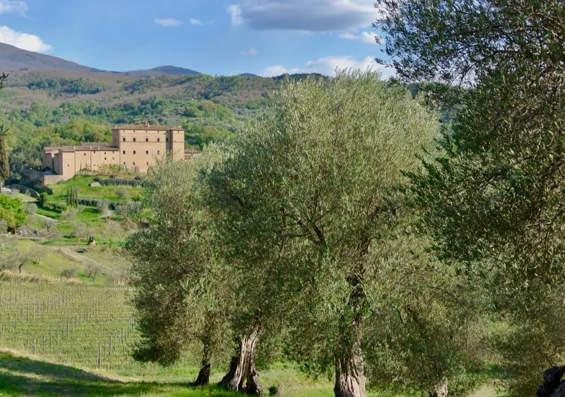 potentinocastello
