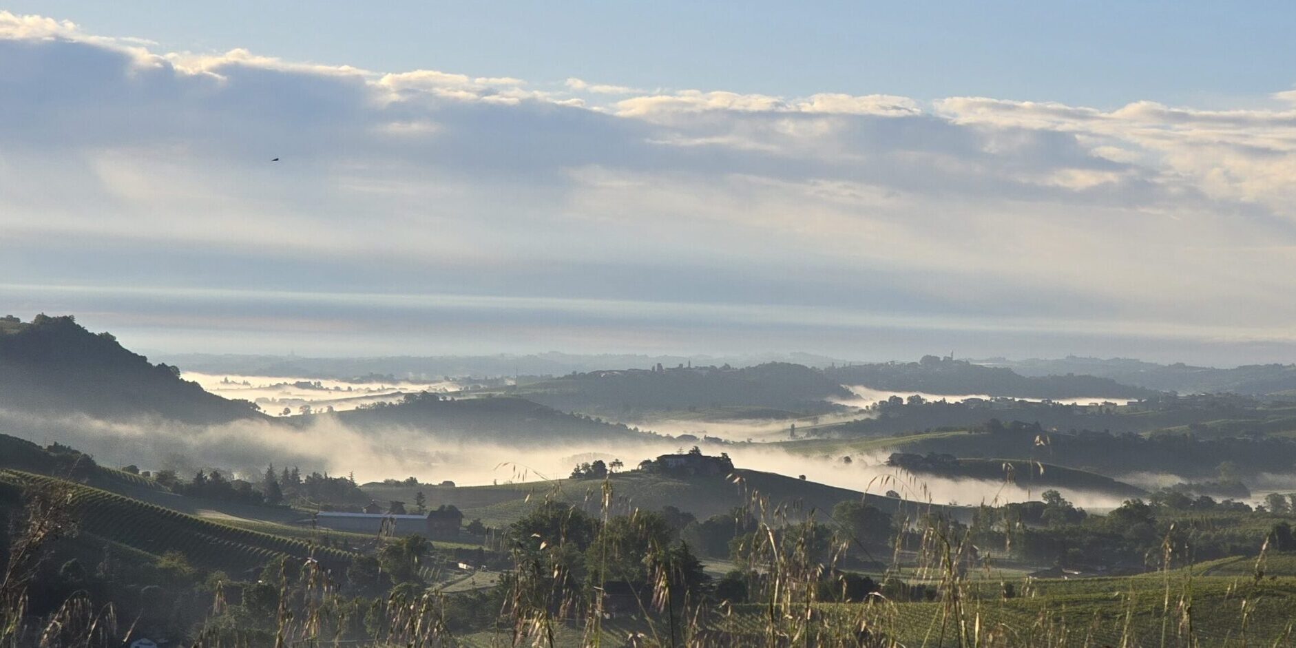langhe